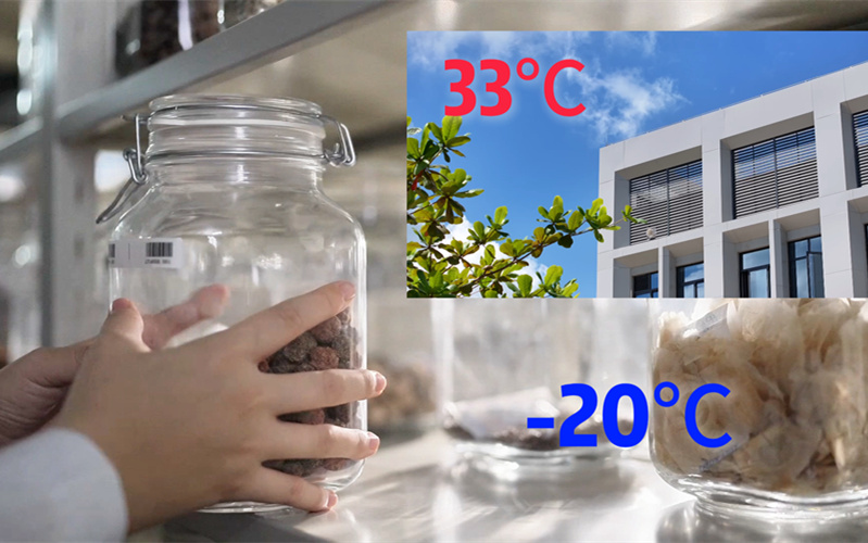 海之南丨记者连线种子：未来，海南这里都是-20℃？
